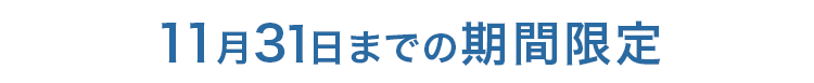 11月31日までの期間限定
